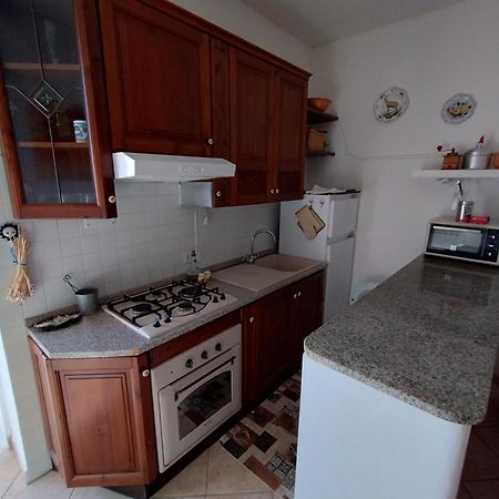 Piccione Marittimo Appartamento Vicinanze Mare Livorno Zewnętrze zdjęcie