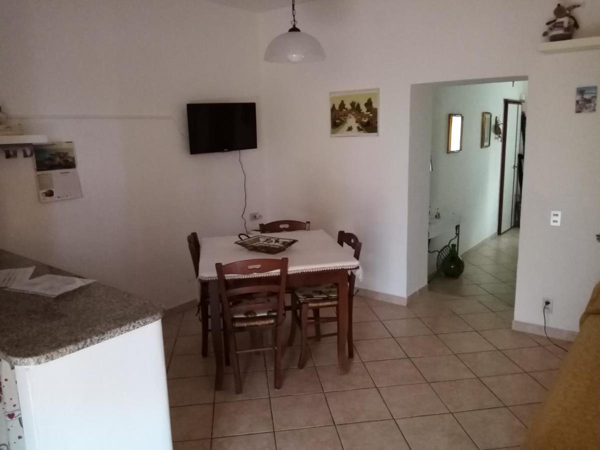Piccione Marittimo Appartamento Vicinanze Mare Livorno Zewnętrze zdjęcie